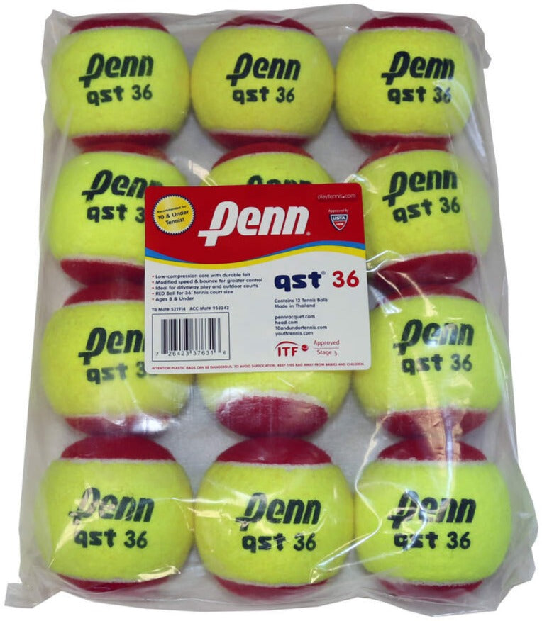 Penn QST Training Tennis Balls