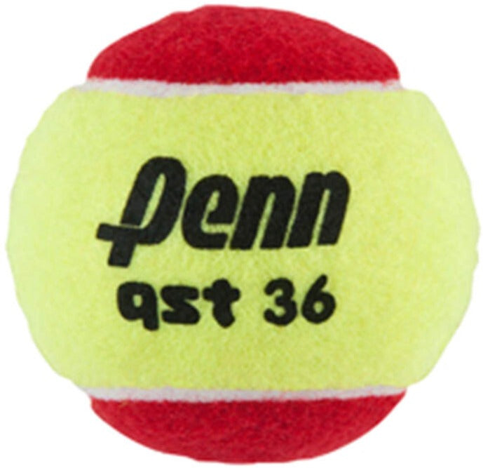 Penn QST Training Tennis Balls - Thumbnail 2