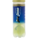 522003-CAN_Pro_Penn_Marathon_Extra_Duty_Tennis_Balls_Can_3_Balls_