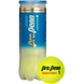 522103-CAN_Pro_Penn_Marathon_Extra_Duty_Tennis_Balls_Can_3_Balls