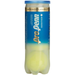 522103-CASE_Pro_Penn_Marathon_Regular_Duty_Tennis_Balls_Case_72_Balls