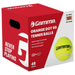 COD6011_Gamma_Orange_Dot_Tournament_60_Tennis_Balls