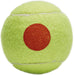 KIDS-2-50Tourna Youth Orange Dot Tennis Balls - Bag (50 Balls)