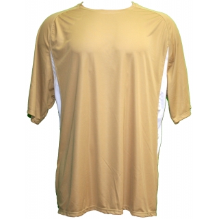 vegas gold shirt